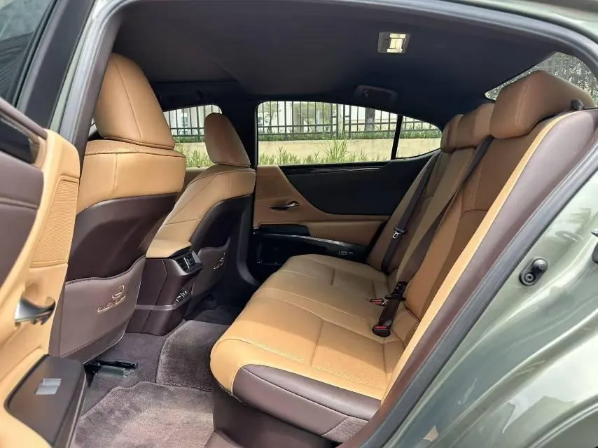 Lexus ES (Imported) 2020 ES300h 2.5 Stepless Excellence Edition Automatic Gear 9