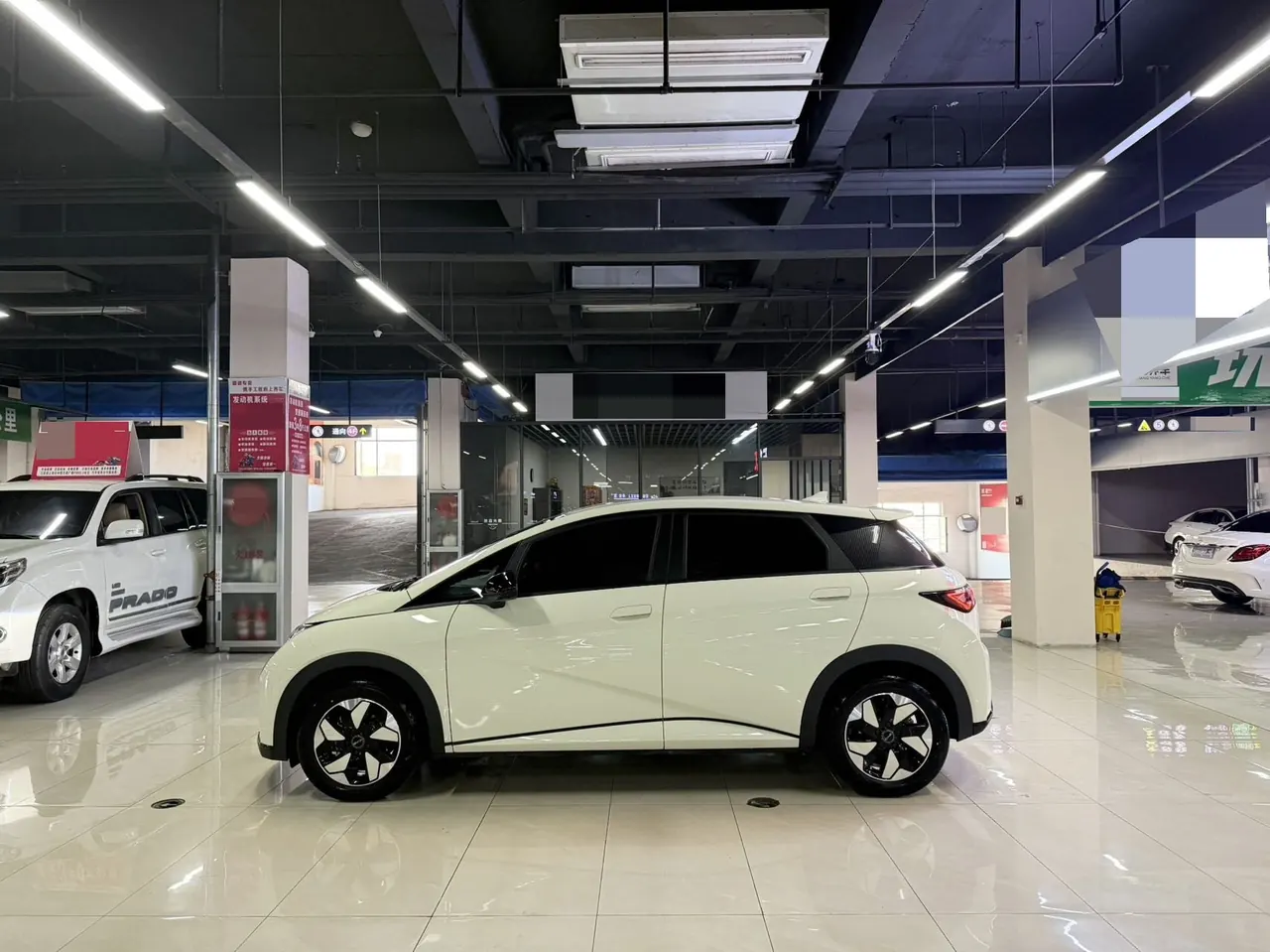 BYD 2025 Dolphins 420km Free Edition Automatic 5