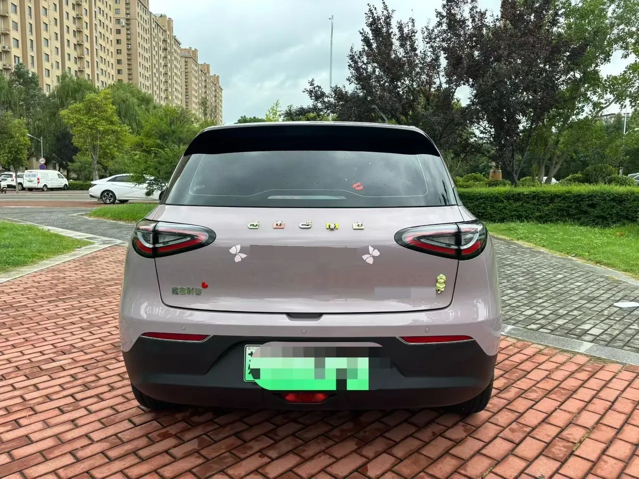 Geely 2025 Star Wish 310km Youth Edition Automatic Gear 5