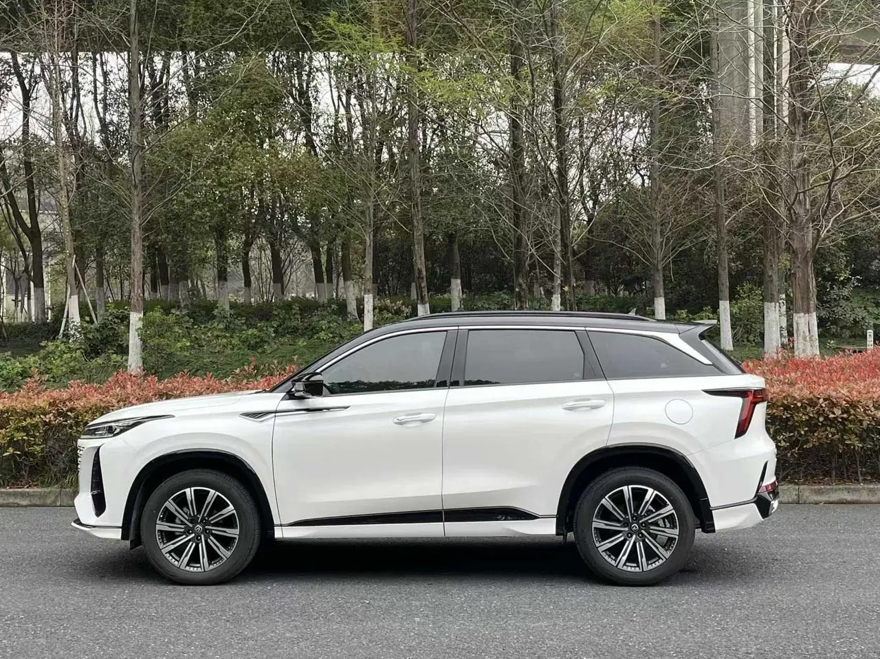 ChangAn 2024 CS75 PLUS 1.5T Champion Edition Smart Driving and Collar Automatic Gear 3