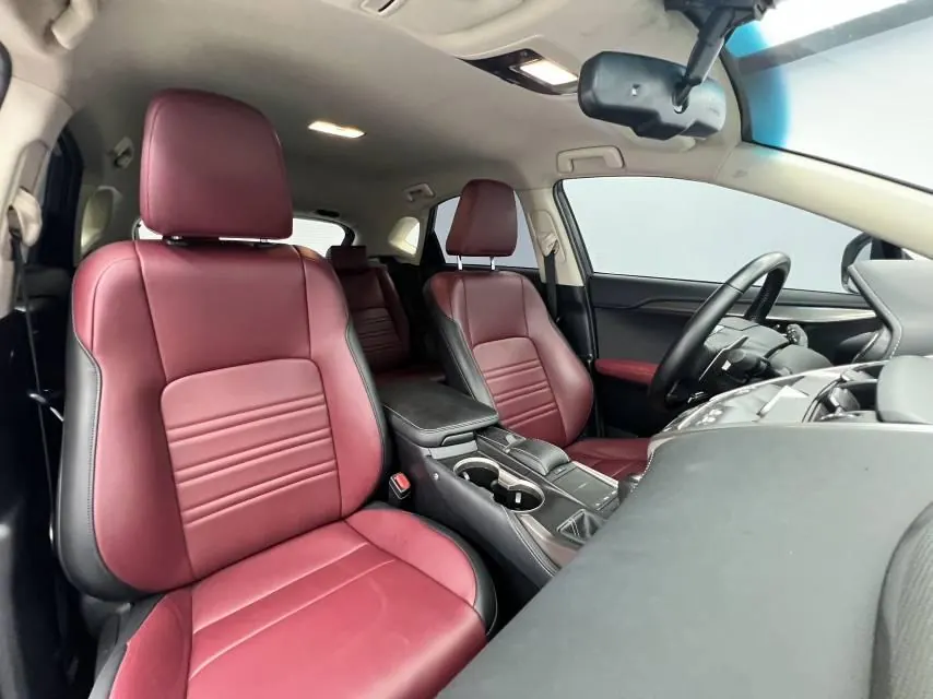 Lexus NX (Imported) 2020 NX200 2.0 Stepless Front Edition Automatic Gear 13