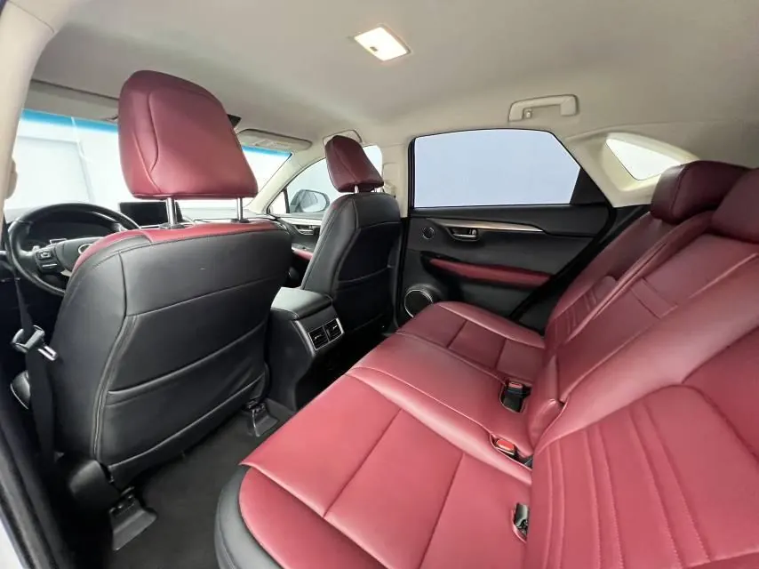 Lexus NX (Imported) 2020 NX200 2.0 Stepless Front Edition Automatic Gear 14