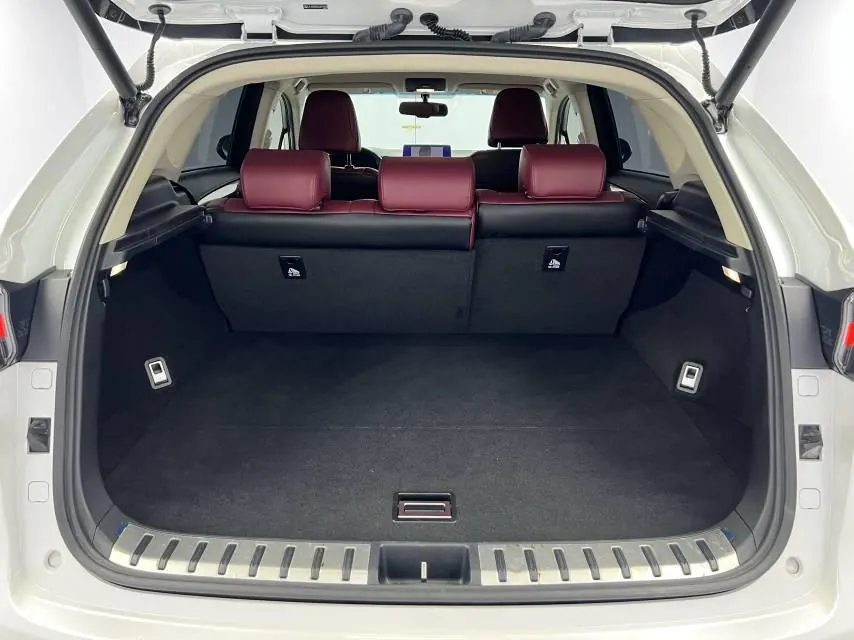 Lexus NX (Imported) 2020 NX200 2.0 Stepless Front Edition Automatic Gear 16