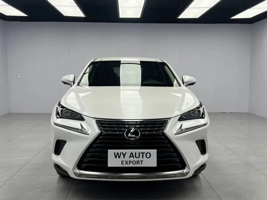 Lexus NX (Imported) 2020 NX200 2.0 Stepless Front Edition Automatic Gear 2
