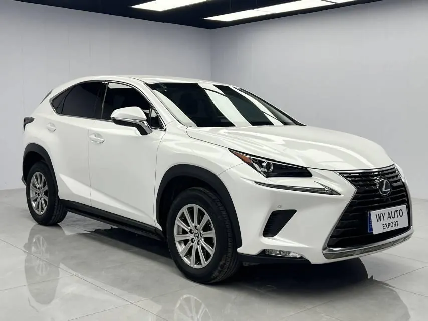 Lexus NX (Imported) 2020 NX200 2.0 Stepless Front Edition Automatic Gear 3