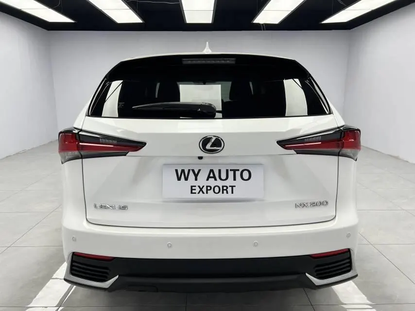 Lexus NX (Imported) 2020 NX200 2.0 Stepless Front Edition Automatic Gear 5