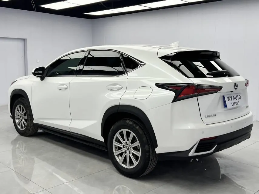 Lexus NX (Imported) 2020 NX200 2.0 Stepless Front Edition Automatic Gear 6