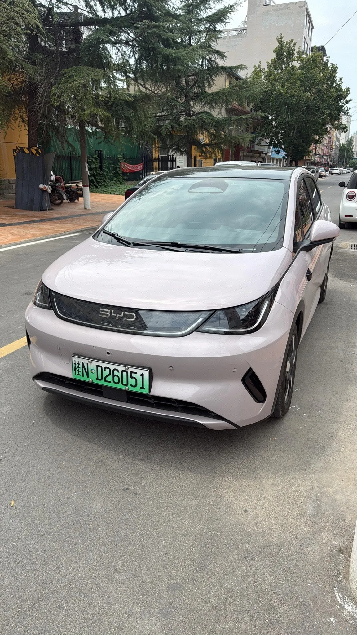 BYD 2025 Dolphin Smart Driving 410km Fashion Automatic Gear 2