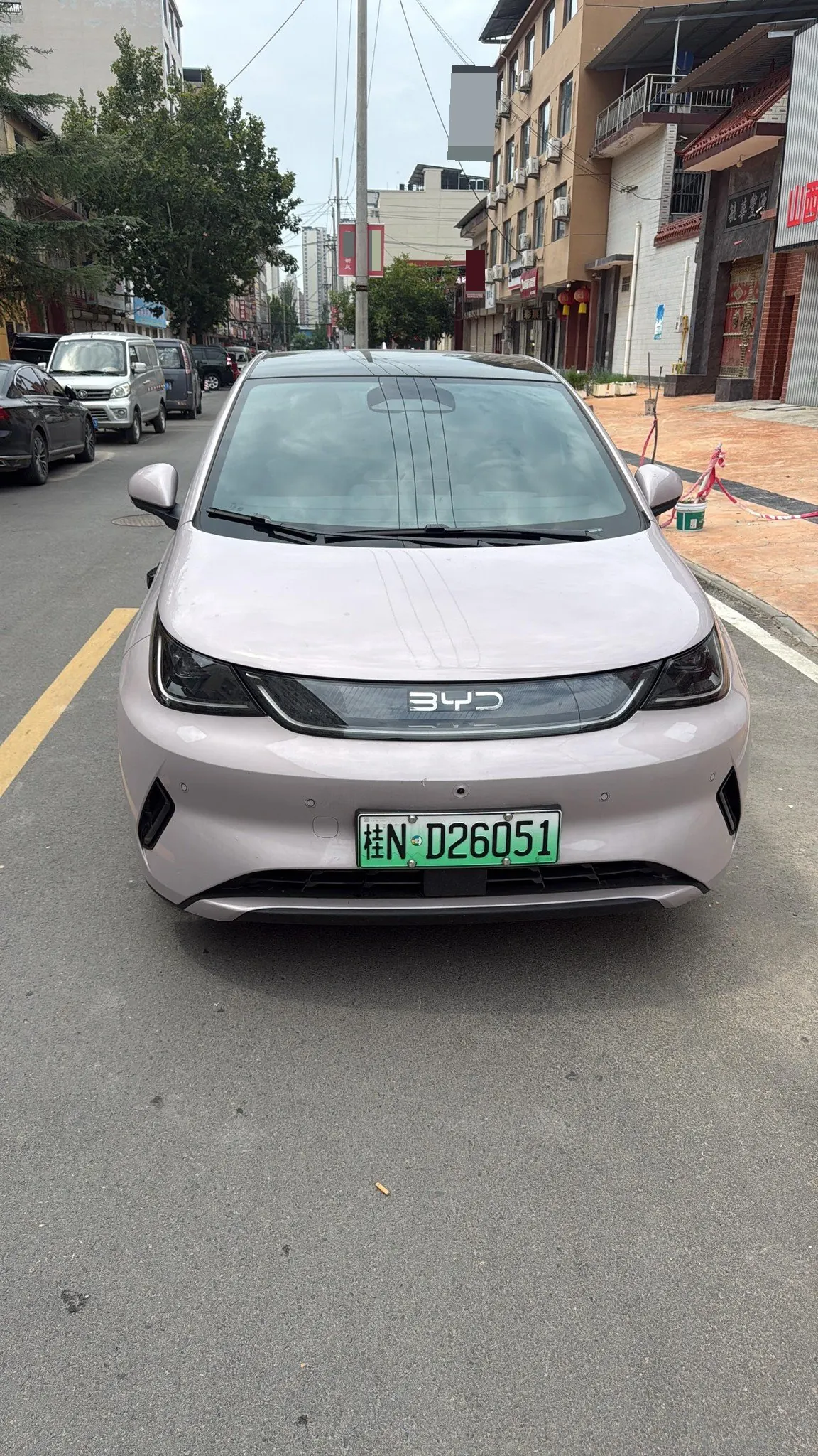 BYD 2025 Dolphin Smart Driving 410km Fashion Automatic Gear 3