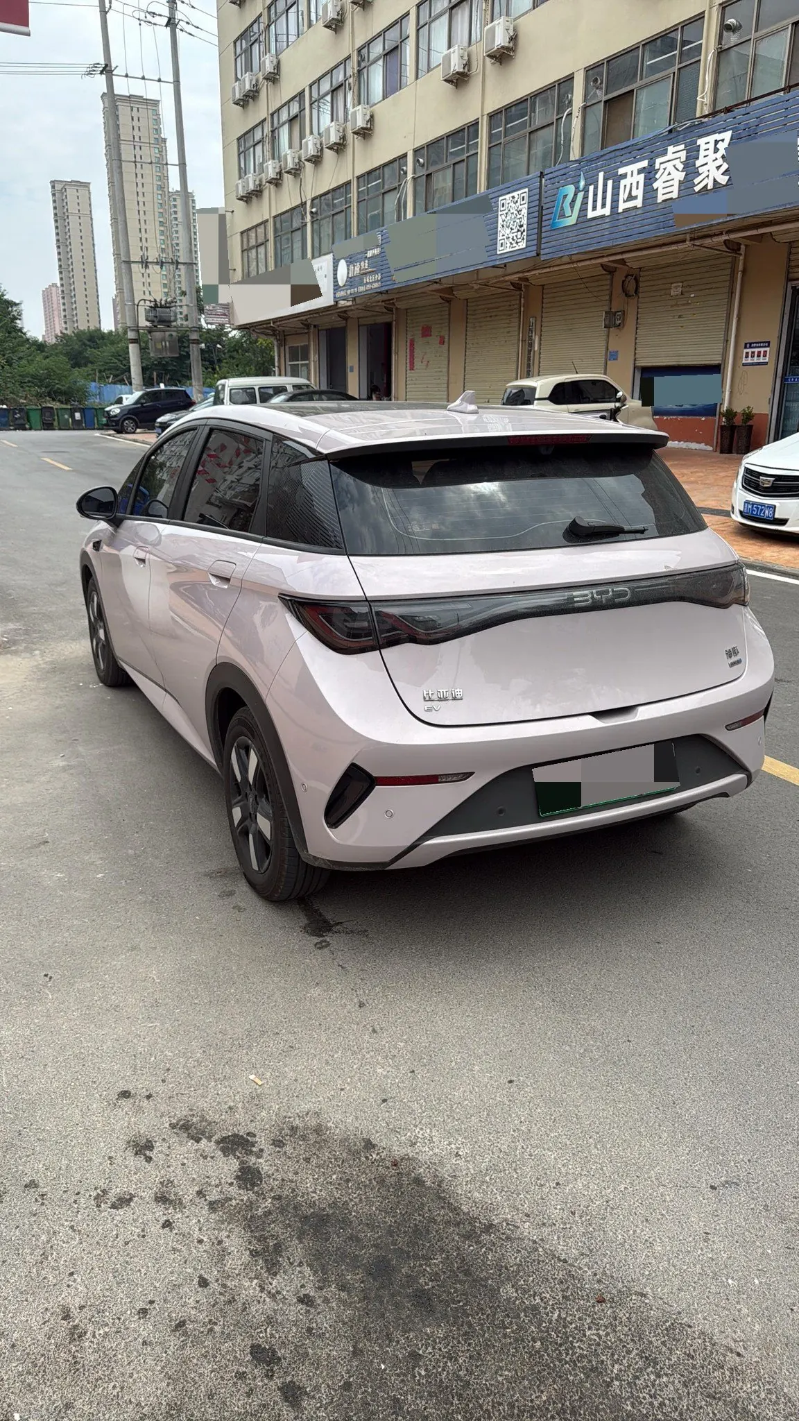 BYD 2025 Dolphin Smart Driving 410km Fashion Automatic Gear 6