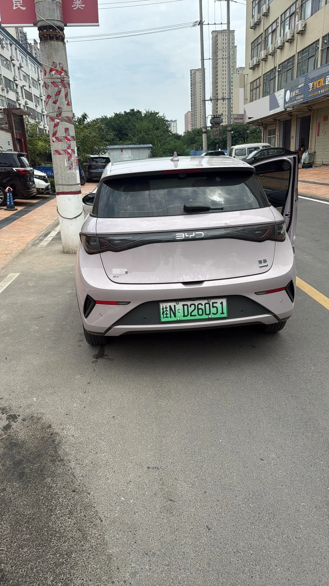 BYD 2025 Dolphin Smart Driving 410km Fashion Automatic Gear 7