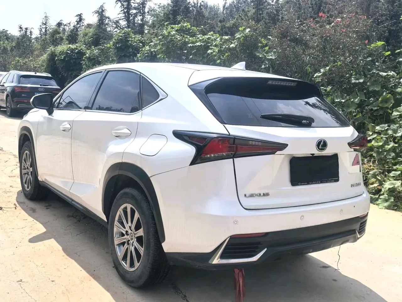Lexus NX (Imported) 2020 NX200 2.0 Stepless Front Edition Automatic Gear 4