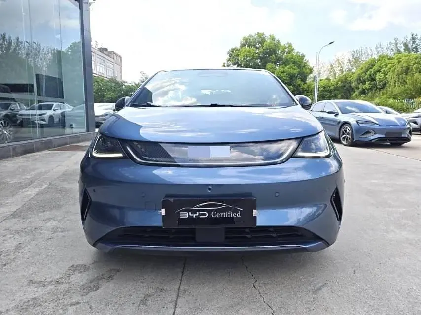 BYD 2025 Dolphin Smart Driving 410km Fashion Automatic Gear 2