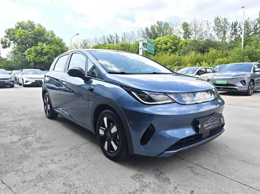 BYD 2025 Dolphin Smart Driving 410km Fashion Automatic Gear 3