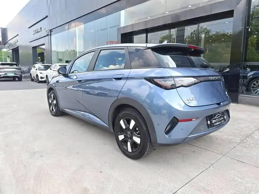 BYD 2025 Dolphin Smart Driving 410km Fashion Automatic Gear 6