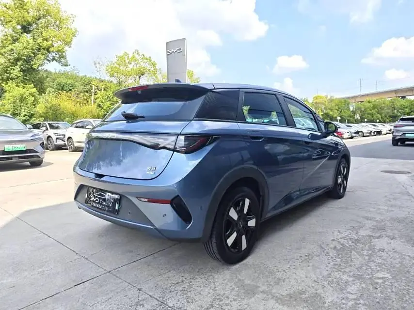BYD 2025 Dolphin Smart Driving 410km Fashion Automatic Gear 8