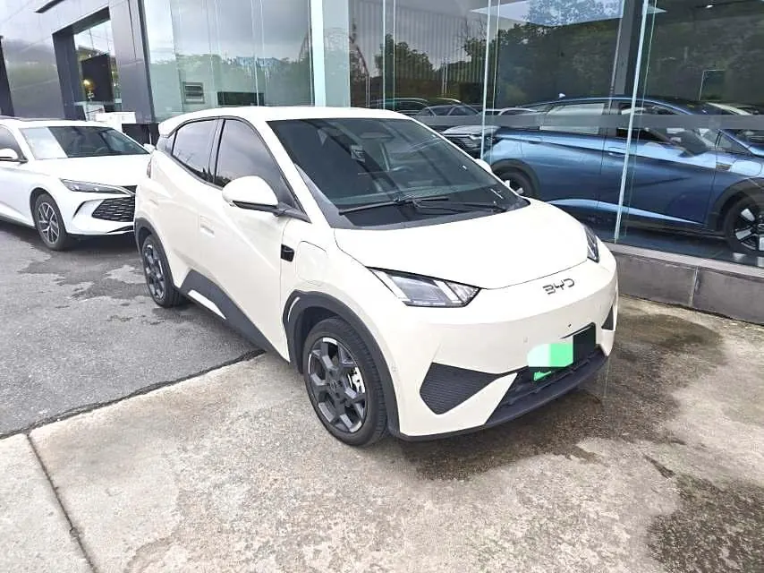 BYD 2025 Seagull Smart Driving Edition 405km Flying Edition Automatic Gear 3