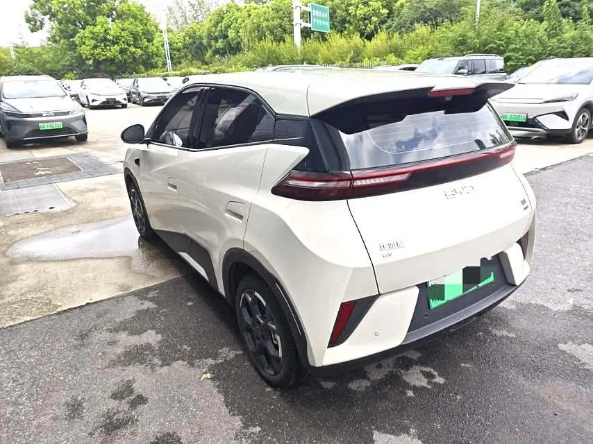 BYD 2025 Seagull Smart Driving Edition 405km Flying Edition Automatic Gear 6