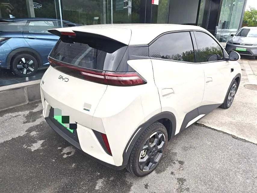 BYD 2025 Seagull Smart Driving Edition 405km Flying Edition Automatic Gear 8