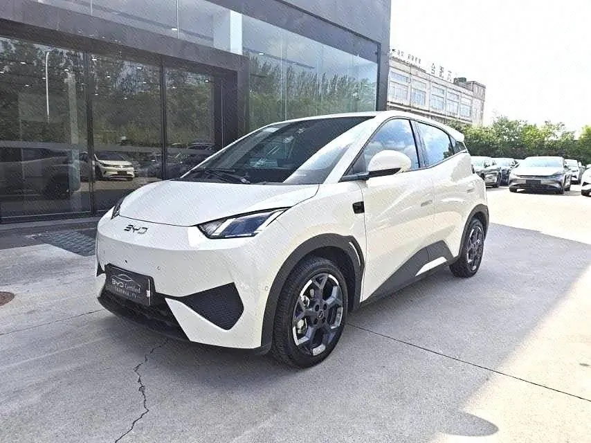 打开图片灯箱:BYD 2025 Seagull Smart Driving Edition 405km Flying Edition Automatic Gear