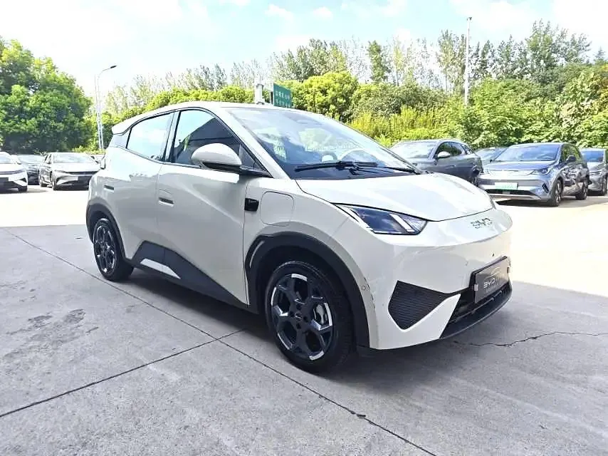 BYD 2025 Seagull Smart Driving Edition 405km Flying Edition Automatic Gear 3