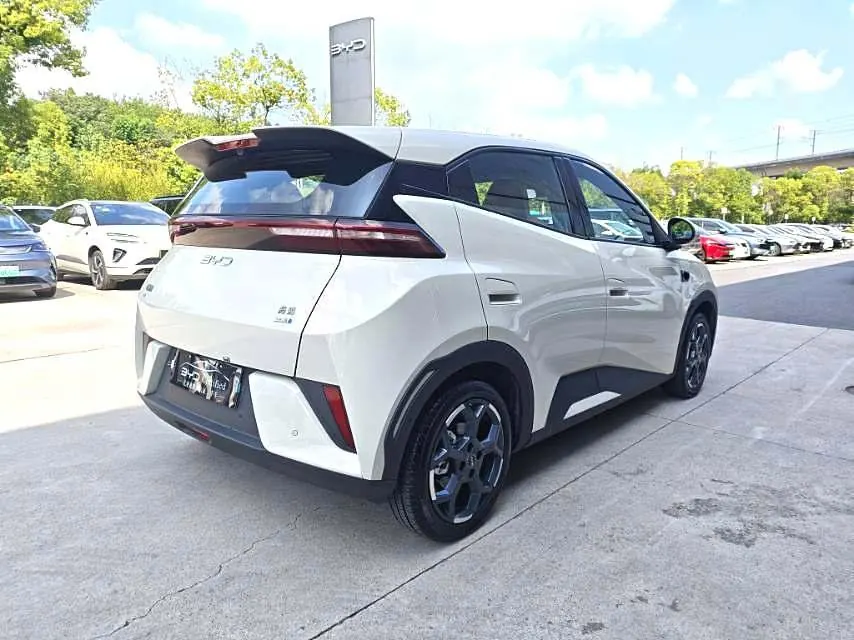 BYD 2025 Seagull Smart Driving Edition 405km Flying Edition Automatic Gear 6