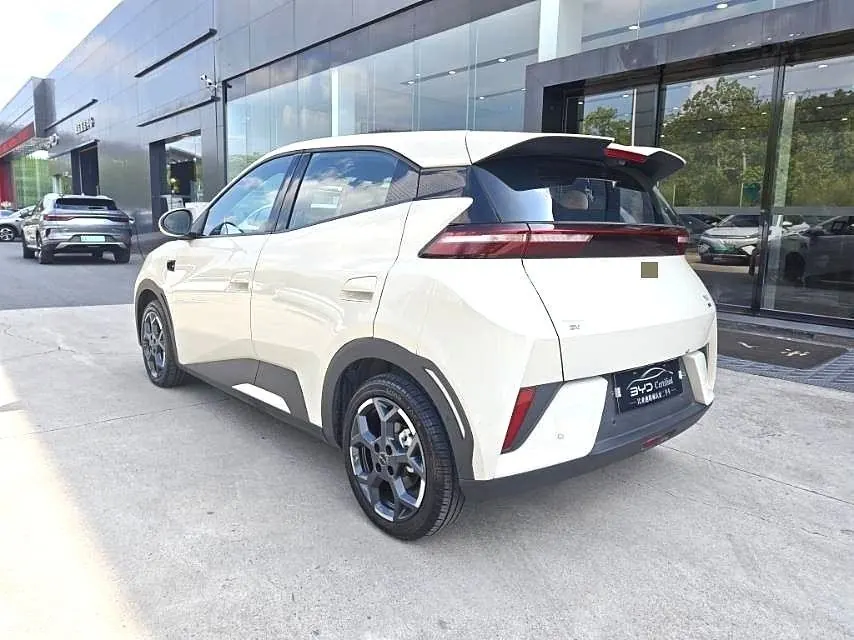 BYD 2025 Seagull Smart Driving Edition 405km Flying Edition Automatic Gear 7