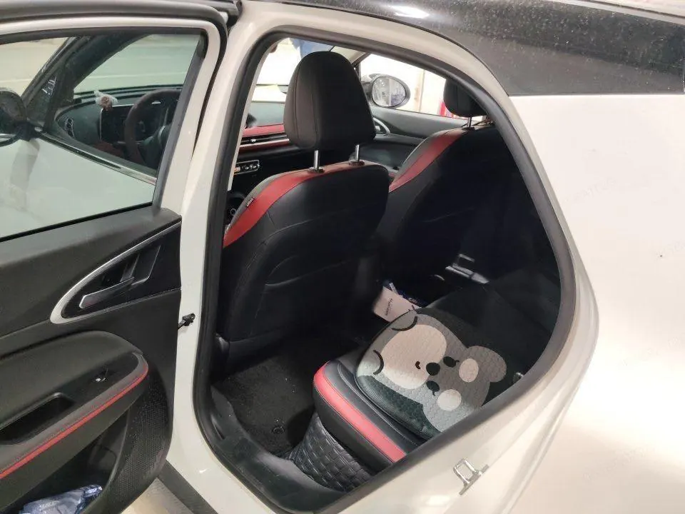 Ora Good Cat GT 2022 Good Cat GT 480km Long Endurance Mulan Edition Standard Edition Automatic Gear 4