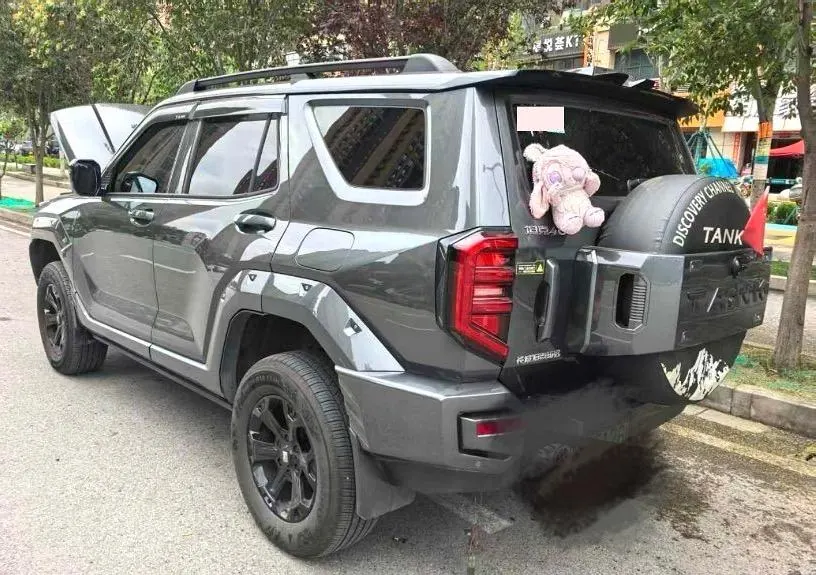 Tank 2024 Tank 400 Hi4-T 2.0T off-road version automatic gear 5