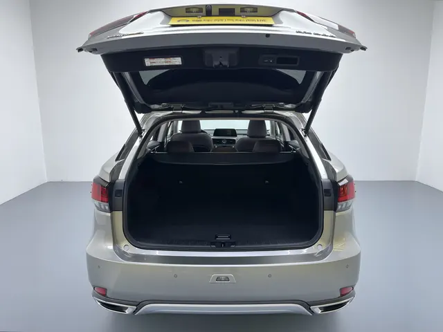 Lexus RX (Imported) 2020 RX300 2.0T Four-wheel Drive Elegant Edition (Modified) Automatic Gear 8