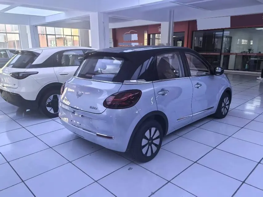 WuLing 2025 Plantronics 333km LingBox Enjoy Automatic Gear 4