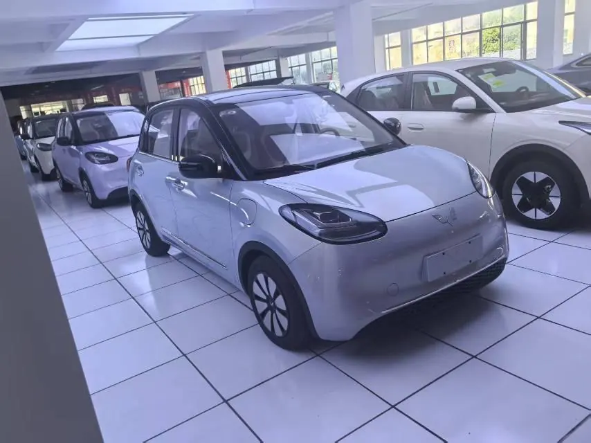 WuLing 2025 Plantronics 333km LingBox Enjoy Automatic Gear 5