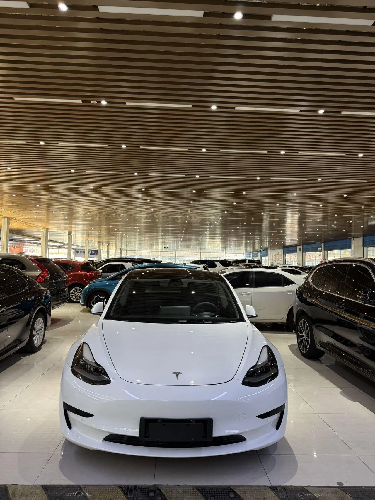 Tesla 2021 Model 3 Standard Endurance Rear Drive Upgraded Automatic Gear 2