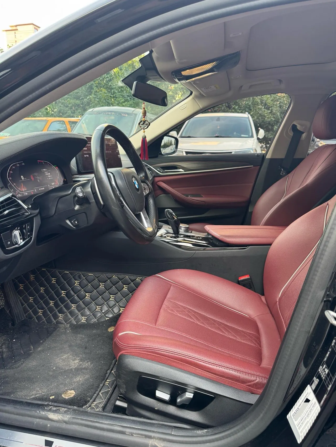 BMW 5 Series 2021 530Li 2.0T Leading Luxury Suit Automatic Gear 7