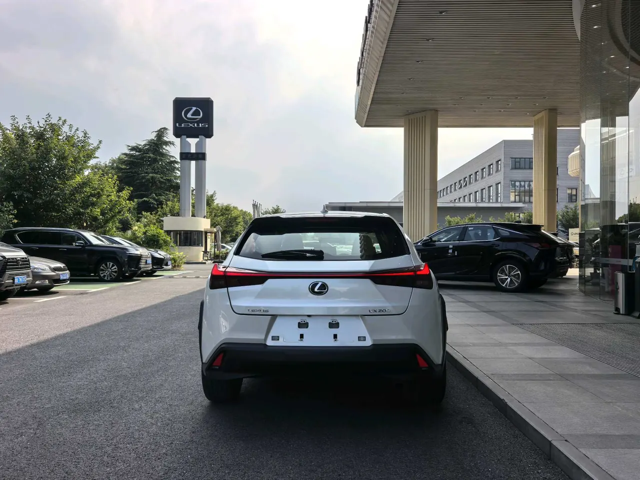 Lexus UX (Imported) 2020 UX200 2.0 Stepless Special Edition Automatic Gear 13