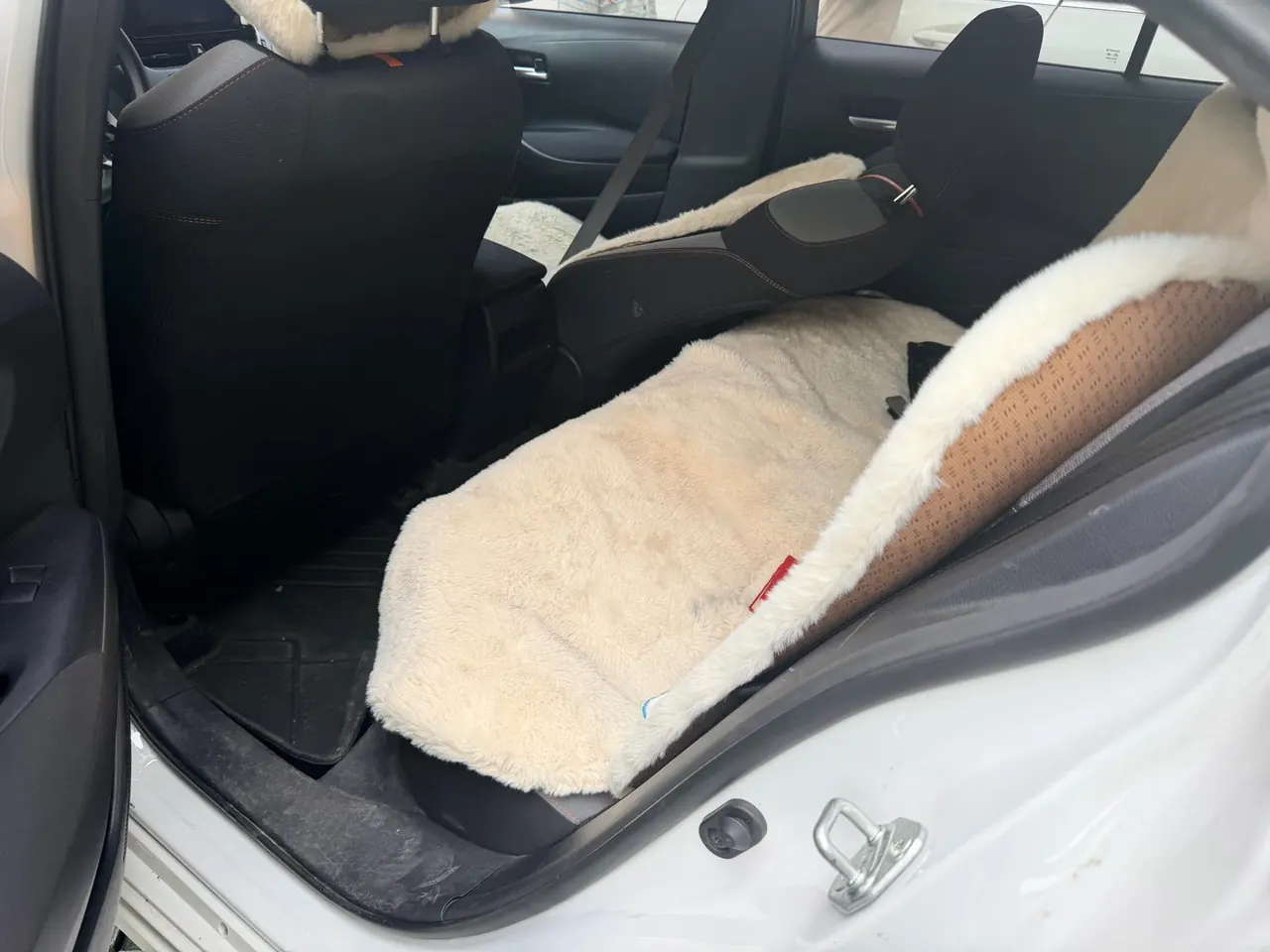 Toyota 2024 Corolla 1.2T Stepless Pioneer Edition Automatic Gear 5