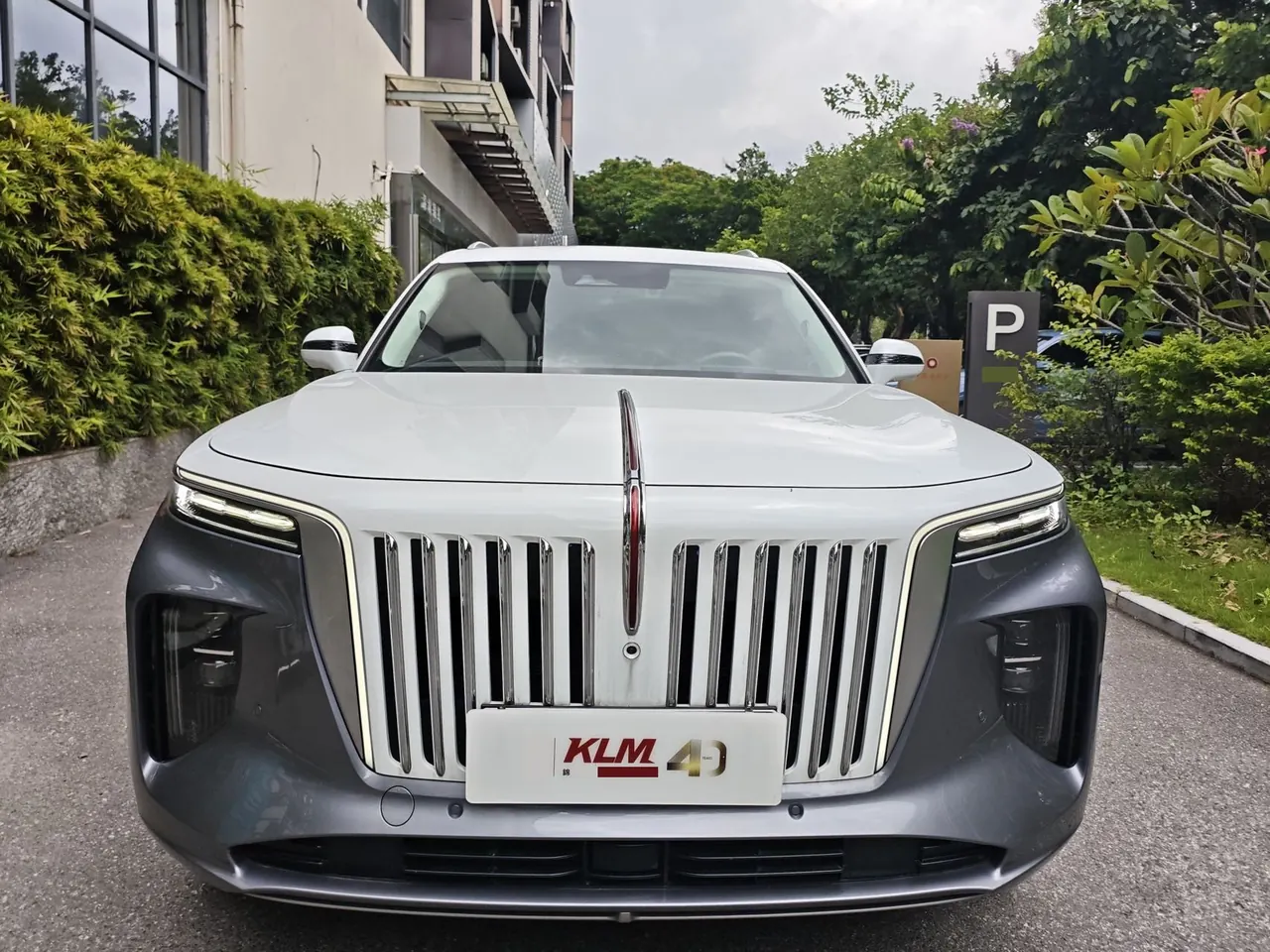 HongQi 2022 E-HS 9 660km Flag Collar Edition 4-seat Automatic Gear 2