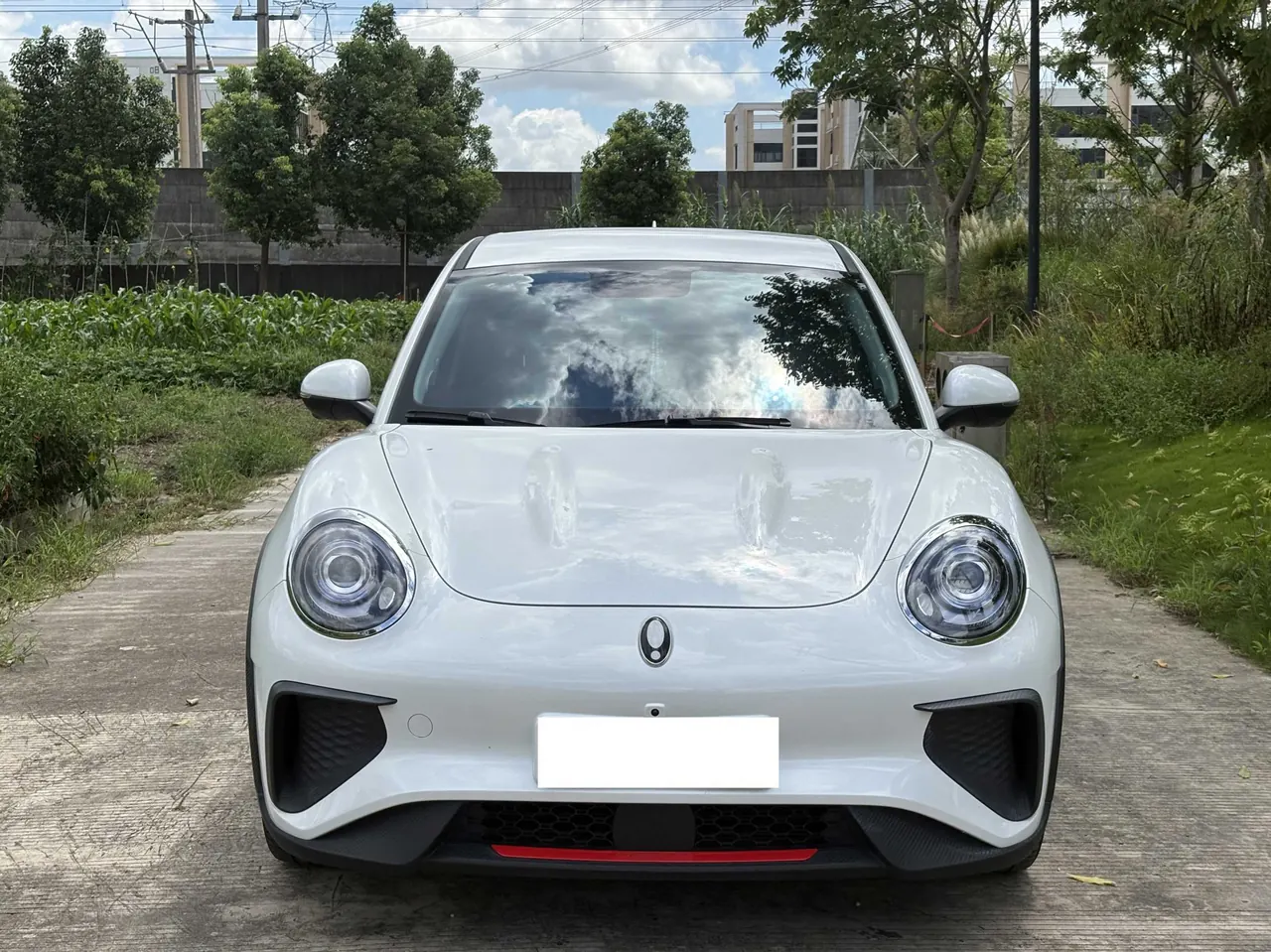 Ora good cat GT 2023 good cat GT 401km magnolia version luxury automatic gear 4