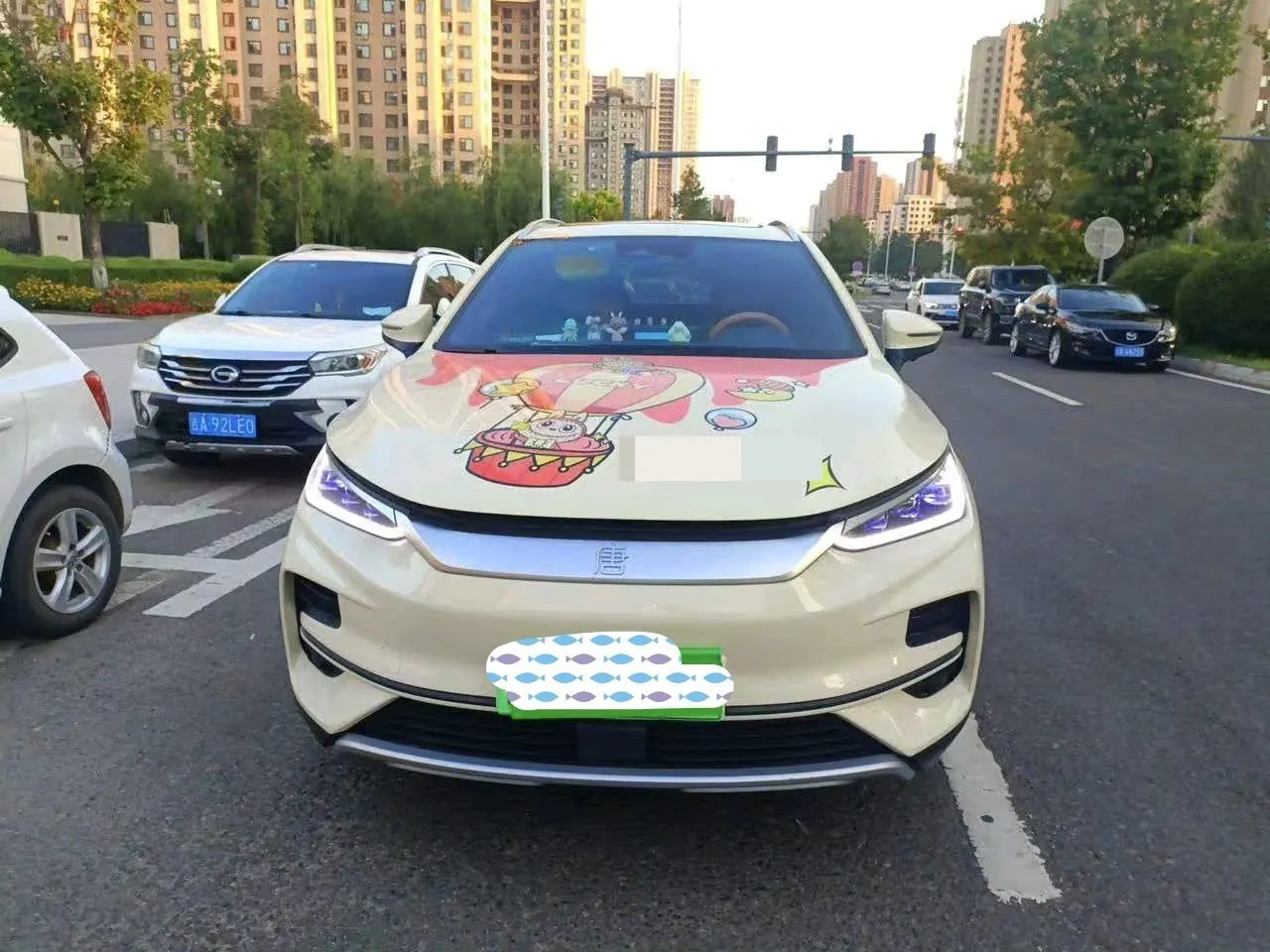 BYD Tang New Energy 2022 Tang EV 600km Exclusive Automatic Gear 2