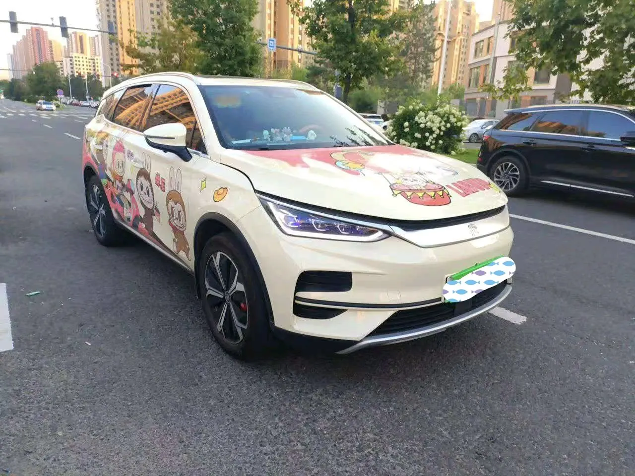 BYD Tang New Energy 2022 Tang EV 600km Exclusive Automatic Gear 3