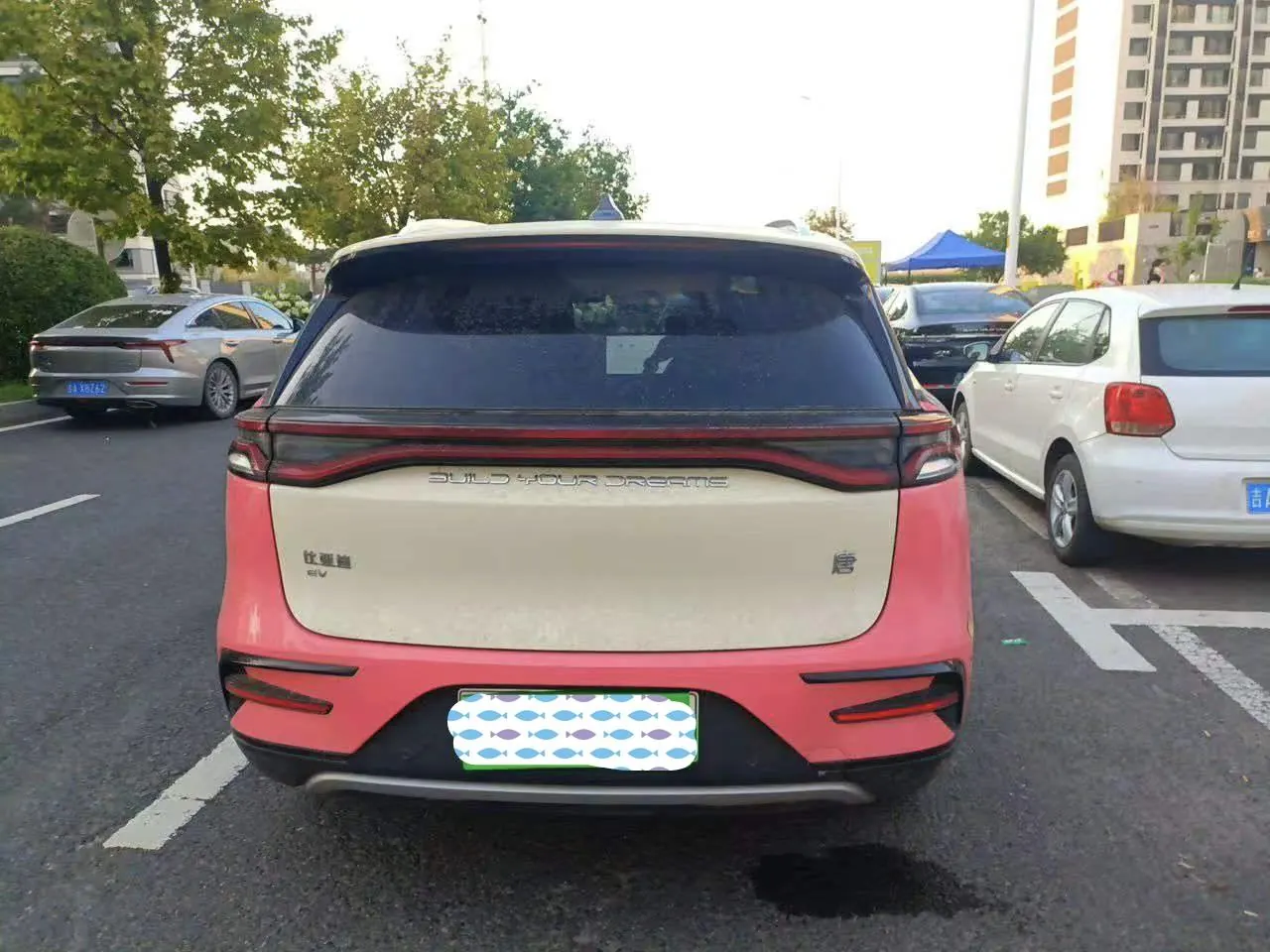 BYD Tang New Energy 2022 Tang EV 600km Exclusive Automatic Gear 4