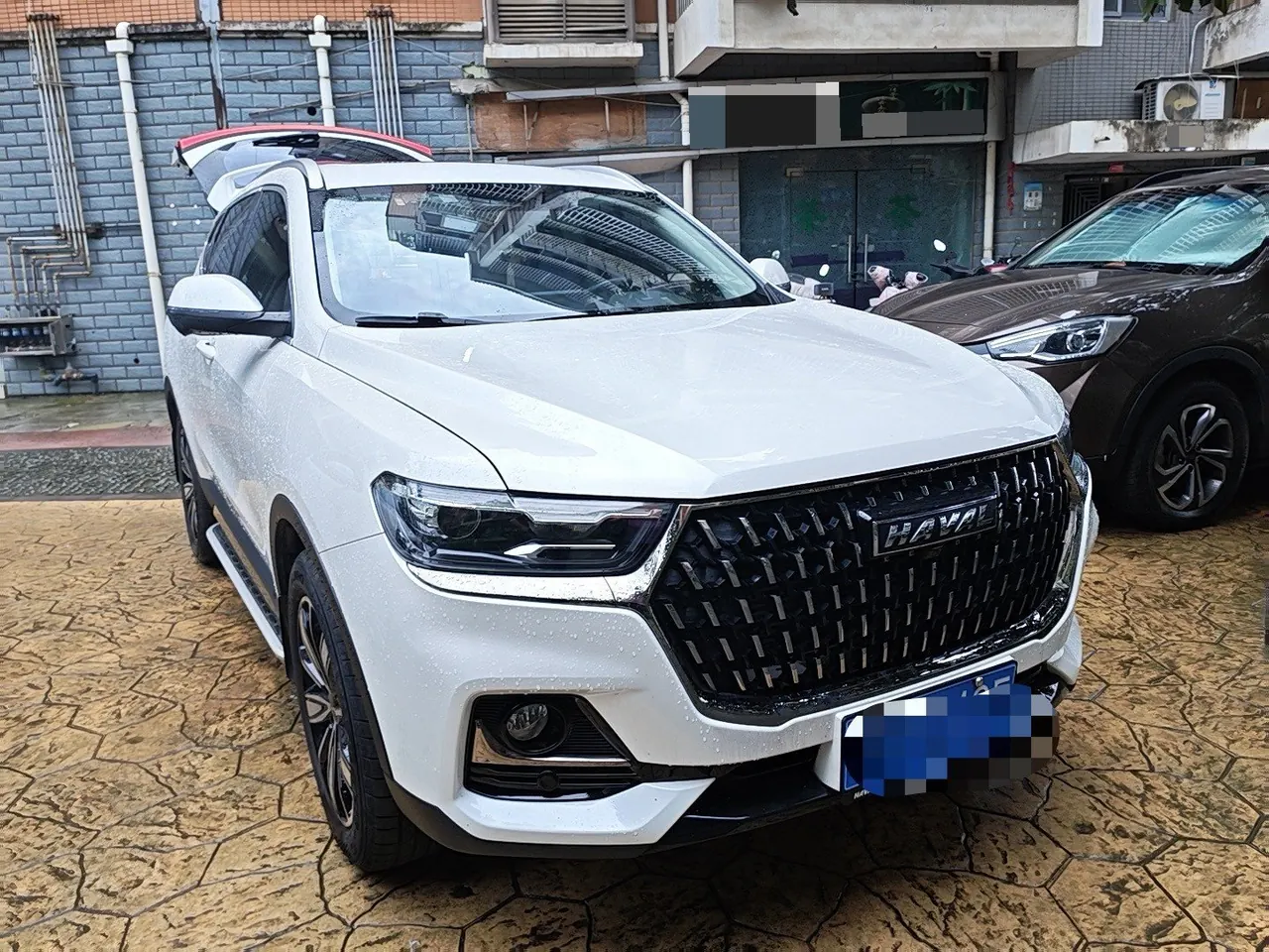 Haval 2023 H6 1.5T National Tide Champion Edition Automatic Gear 3