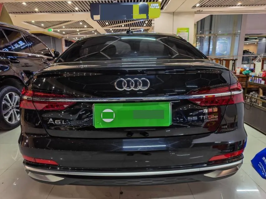 Audi A6L New Energy 2020 A6L e-tron 2.0TFSI 55TFSI e Quattro Automatic 8