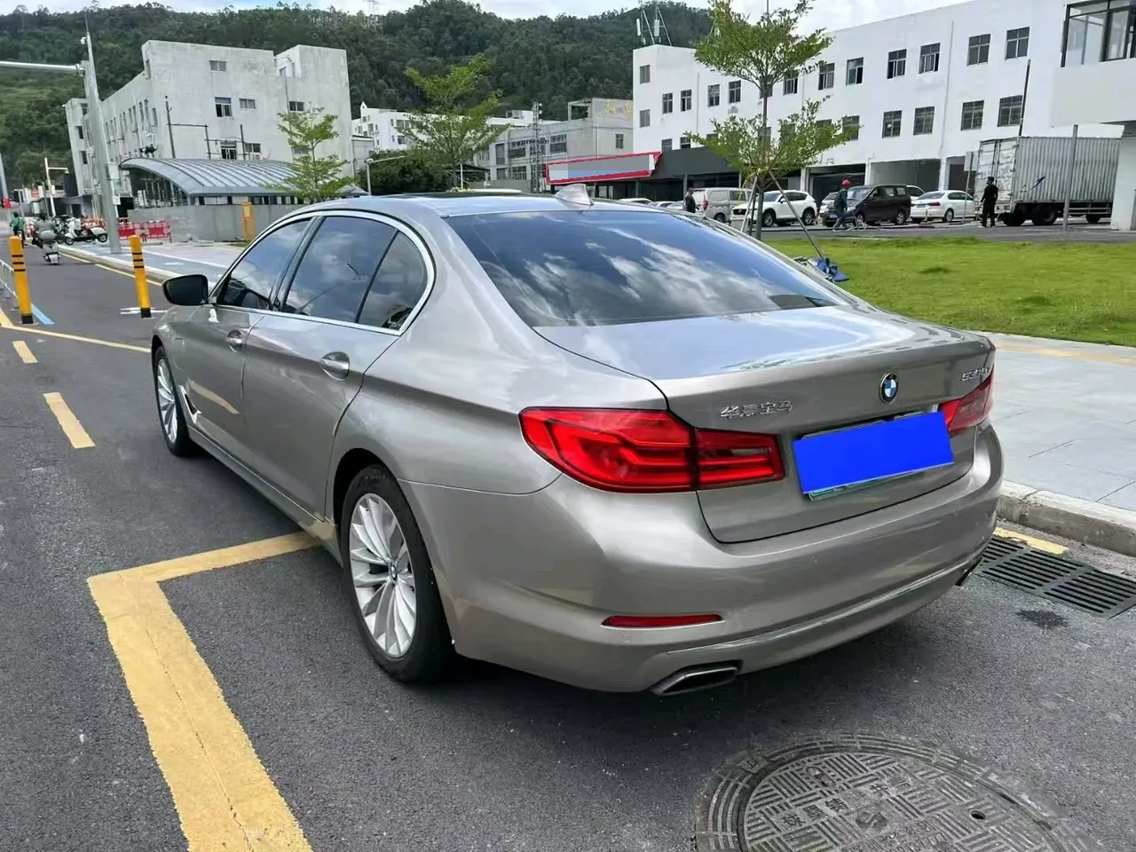 BMW 5 series new energy 2020 530Le 2.0T mileage upgraded luxury package automatic gear 5