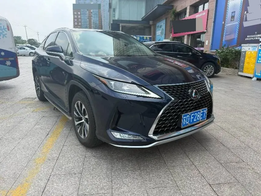 Lexus RX (Imported) 2020 RX300 2.0T Two-Drive Elite Edition (Revised) Automatic Gear 3
