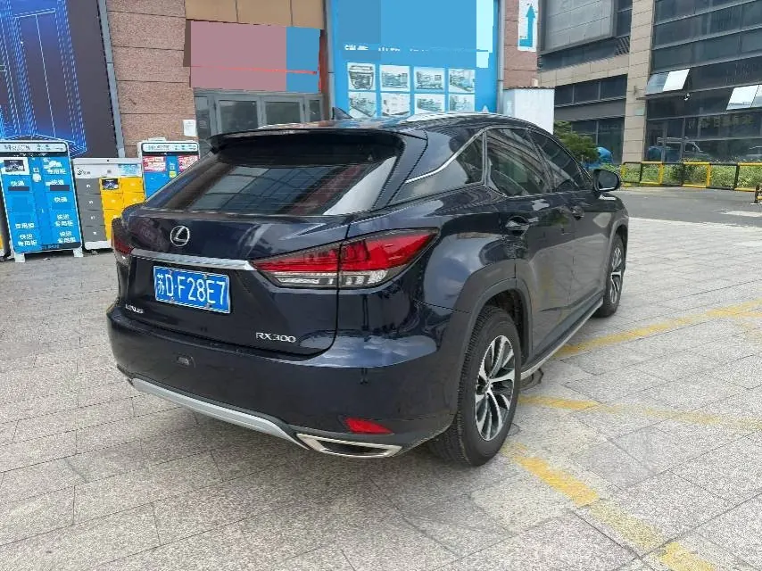 Lexus RX (Imported) 2020 RX300 2.0T Two-Drive Elite Edition (Revised) Automatic Gear 5