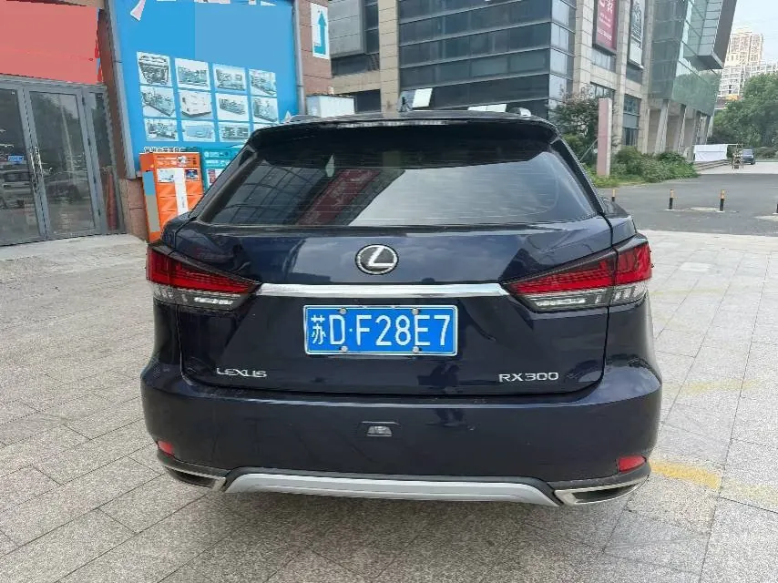 Lexus RX (Imported) 2020 RX300 2.0T Two-Drive Elite Edition (Revised) Automatic Gear 6