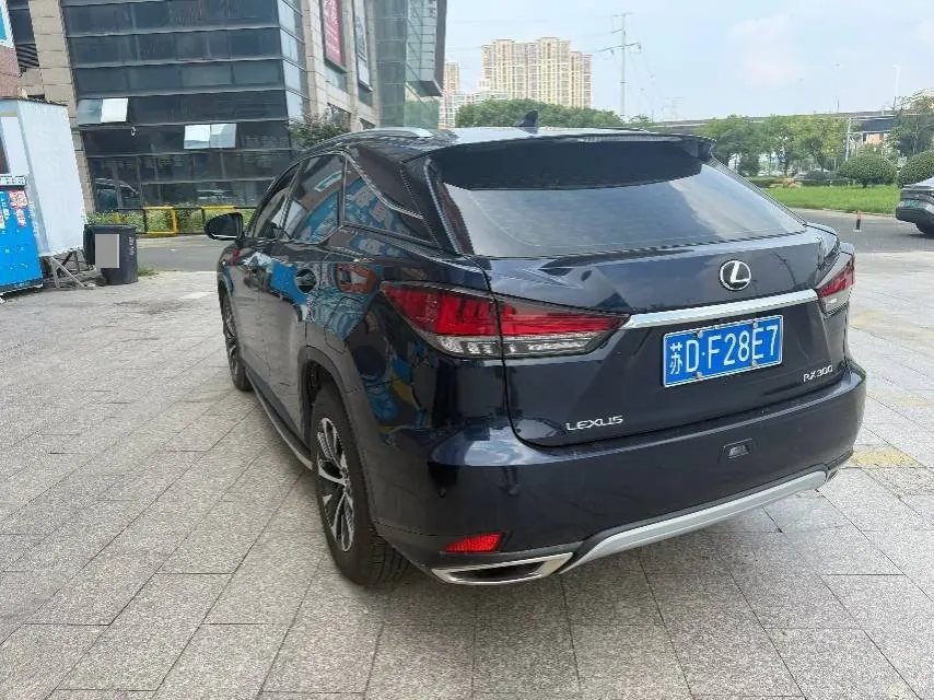 Lexus RX (Imported) 2020 RX300 2.0T Two-Drive Elite Edition (Revised) Automatic Gear 7