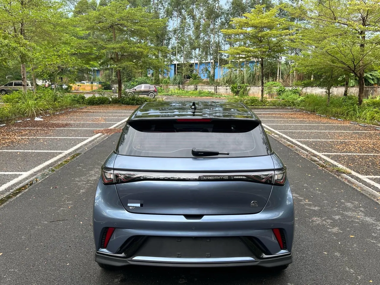 BYD 2023 Dolphins 401km Knight Edition Automatic Gear 5