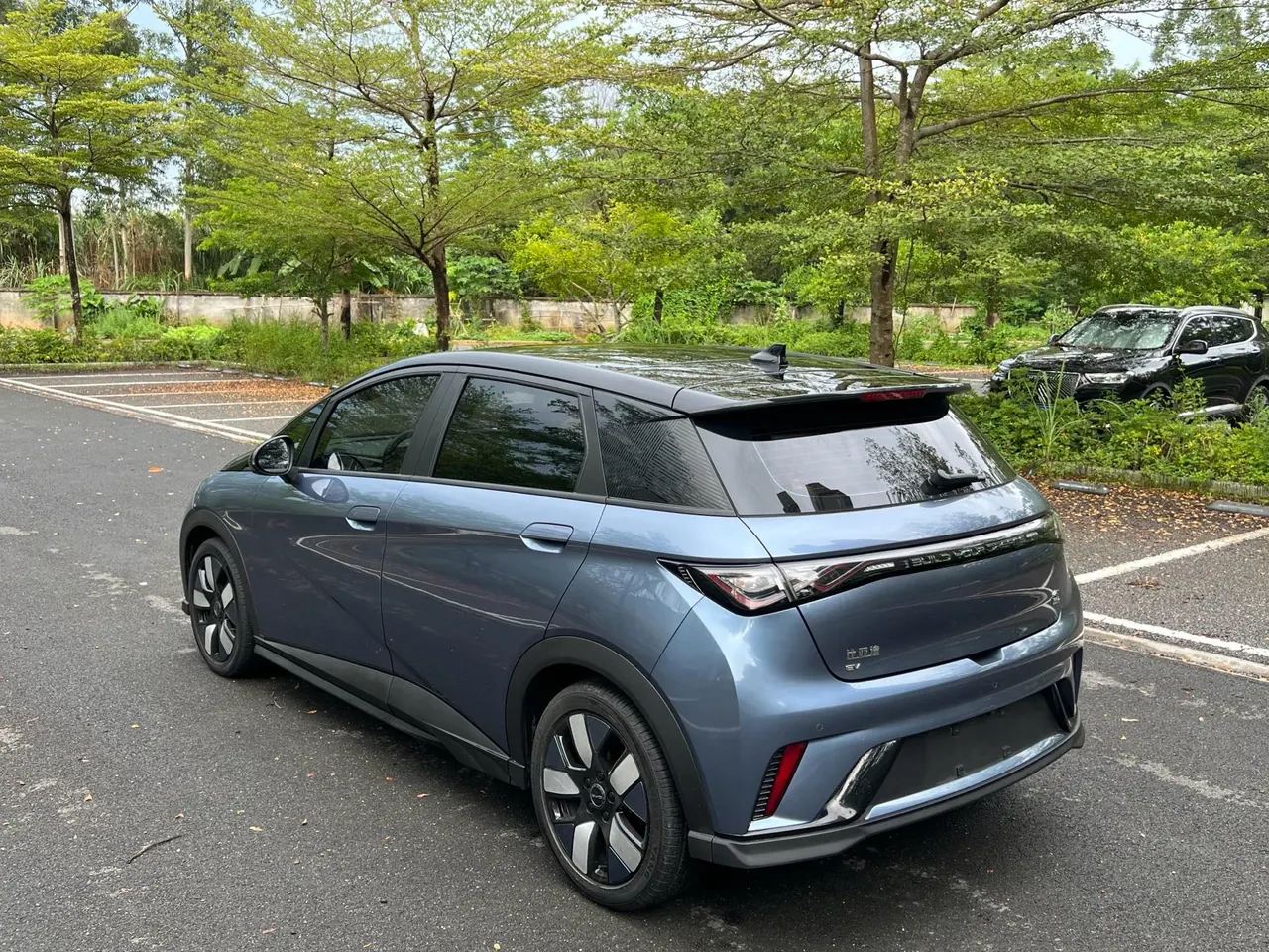 BYD 2023 Dolphins 401km Knight Edition Automatic Gear 6